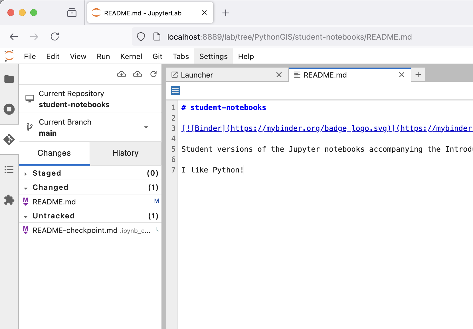 Figure A.X. Changed file status in the JupyterLab extension.
